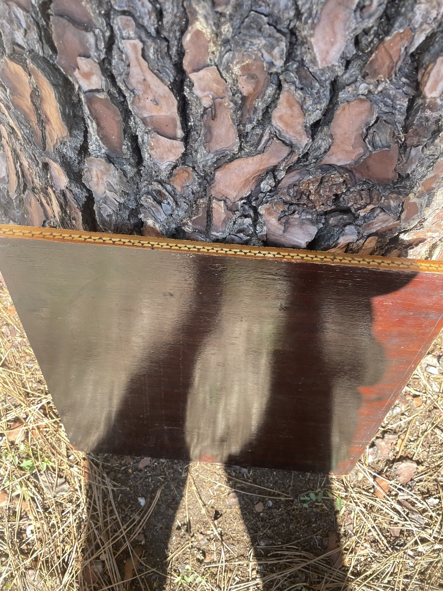 Echiquier syrien -photo-5