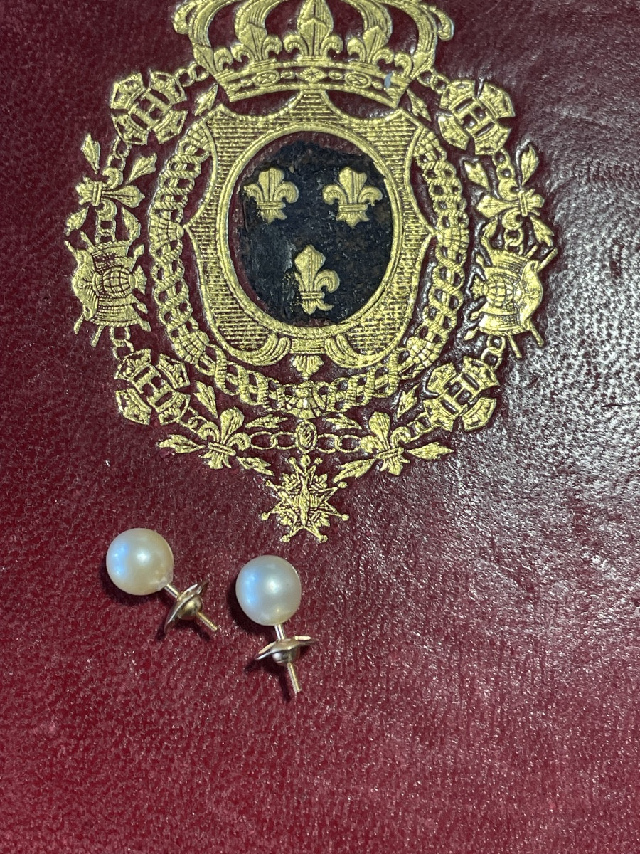 Gold And Pearl Earrings 