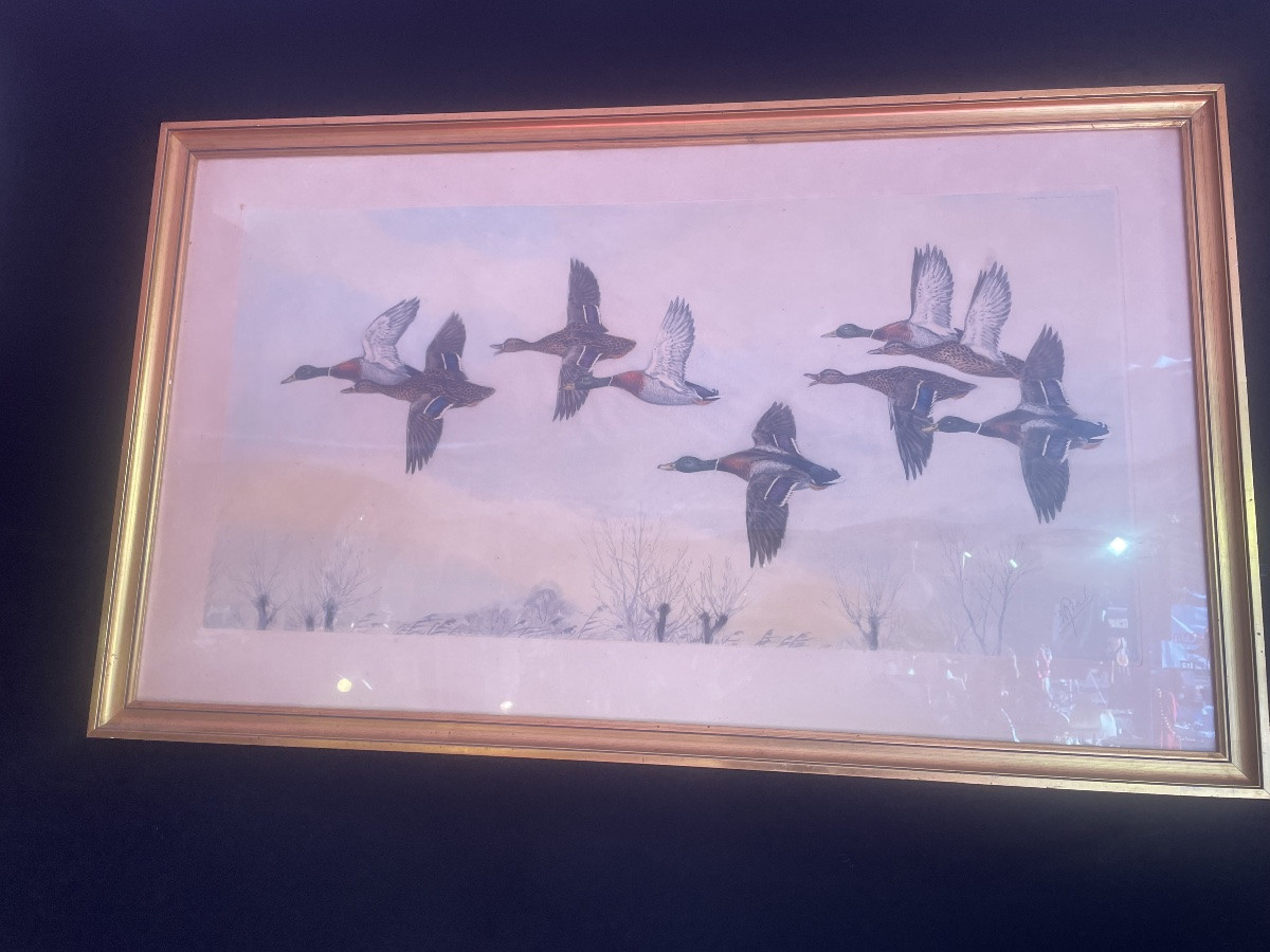 Flight Of Mallard Ducks From Riab -photo-4