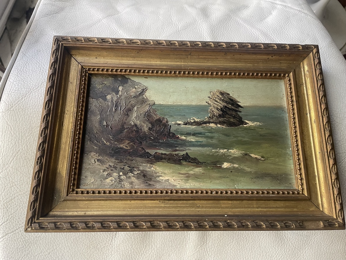 Bord de mer rocailleux -photo-2