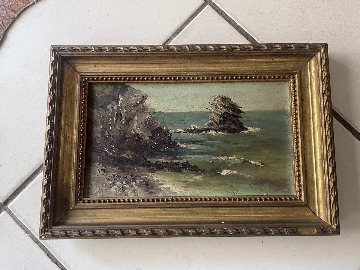 Bord de mer rocailleux -photo-4