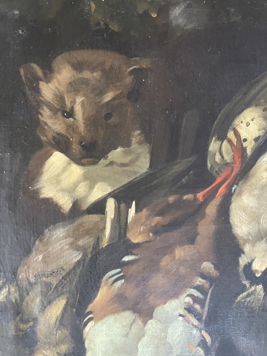 La martre et le gibier -photo-7