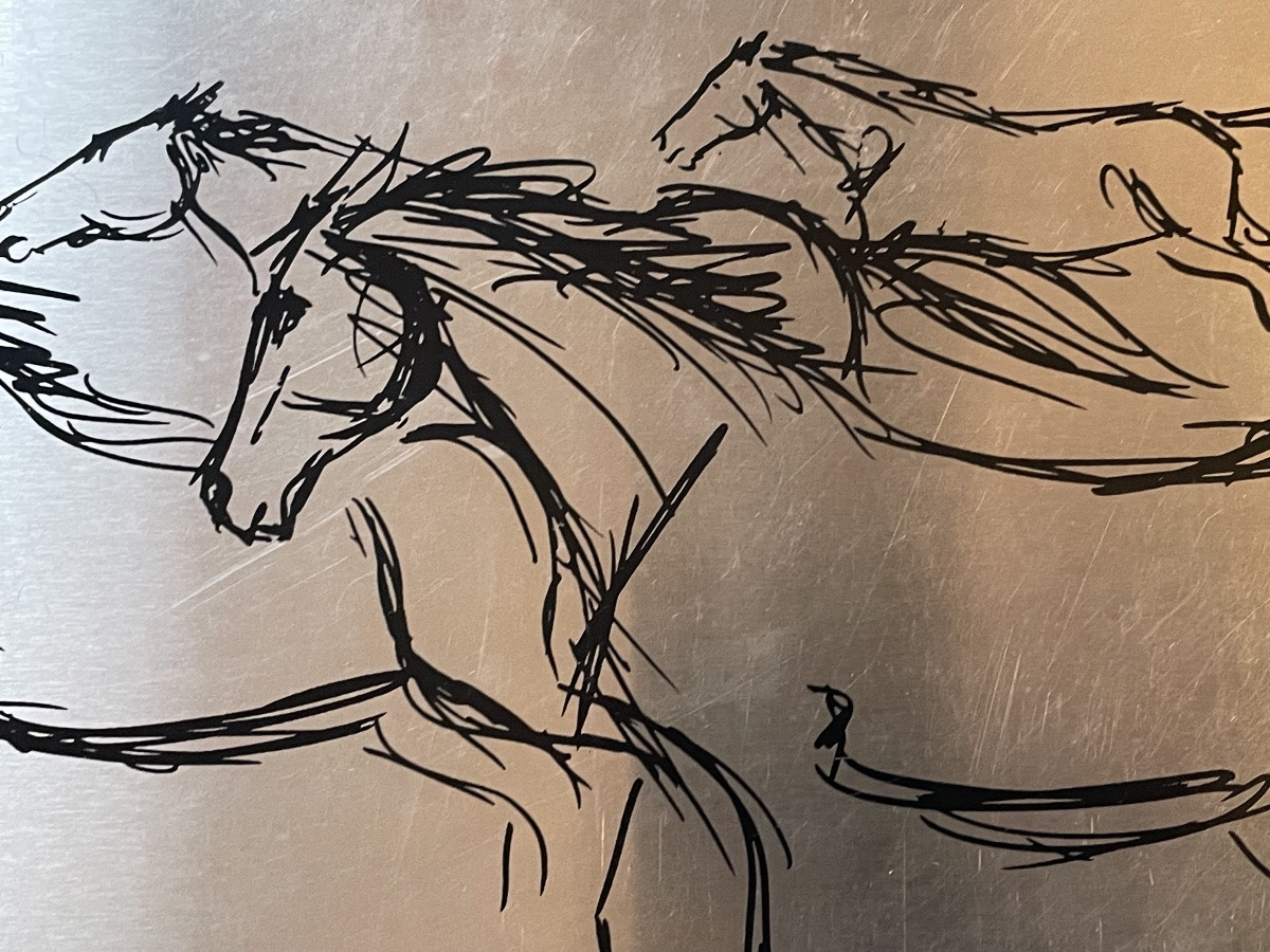 Mich Micheyl's Wild Horses-photo-7