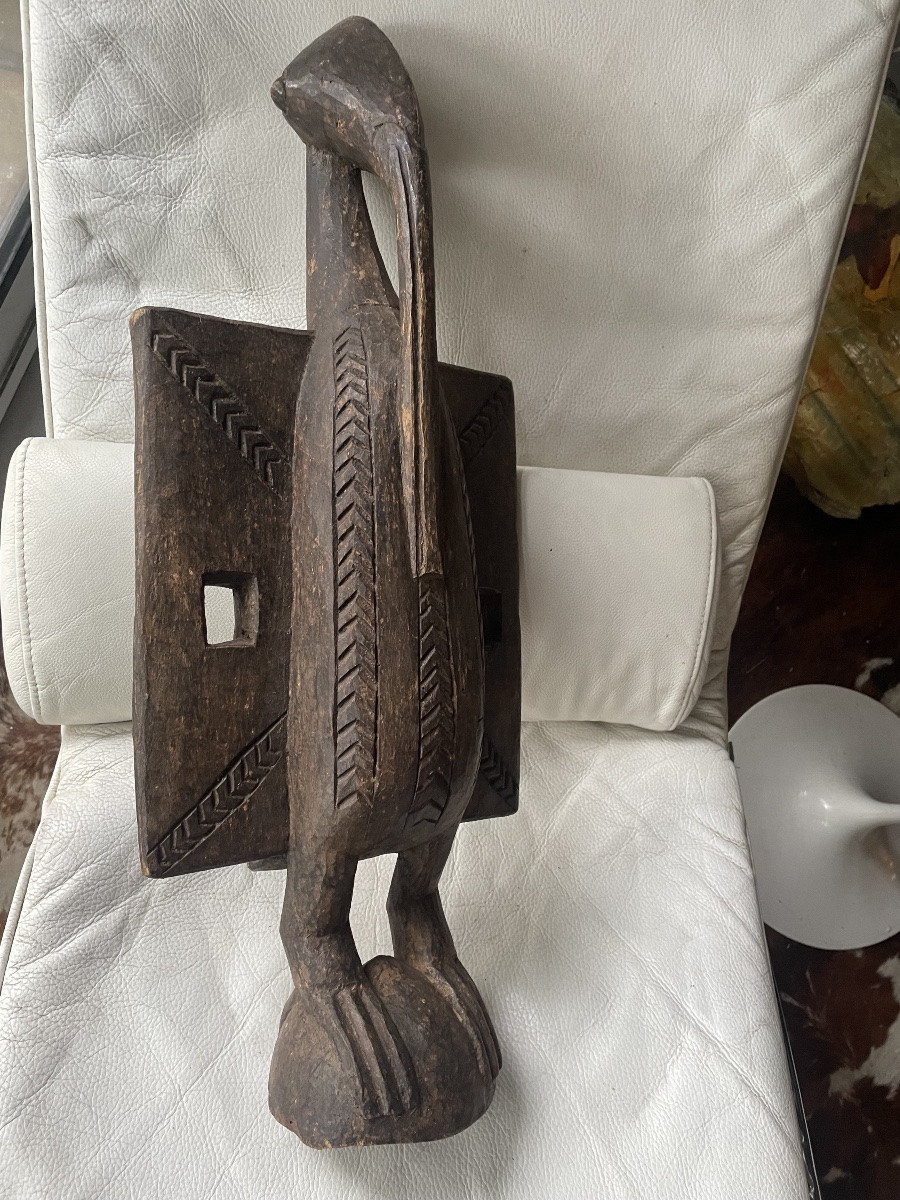 Oiseau calao Senoufo côté d’ivoire -photo-2