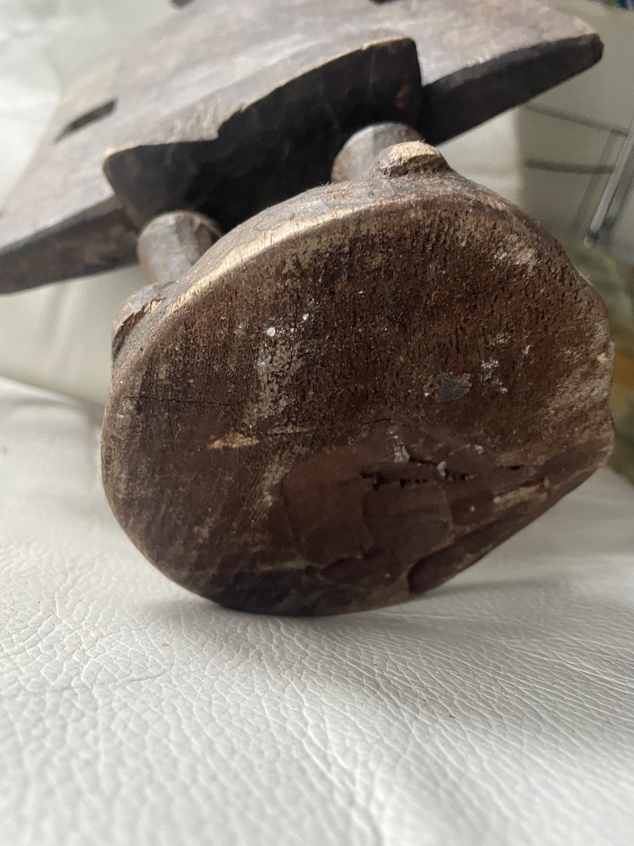 Oiseau calao Senoufo côté d’ivoire -photo-3