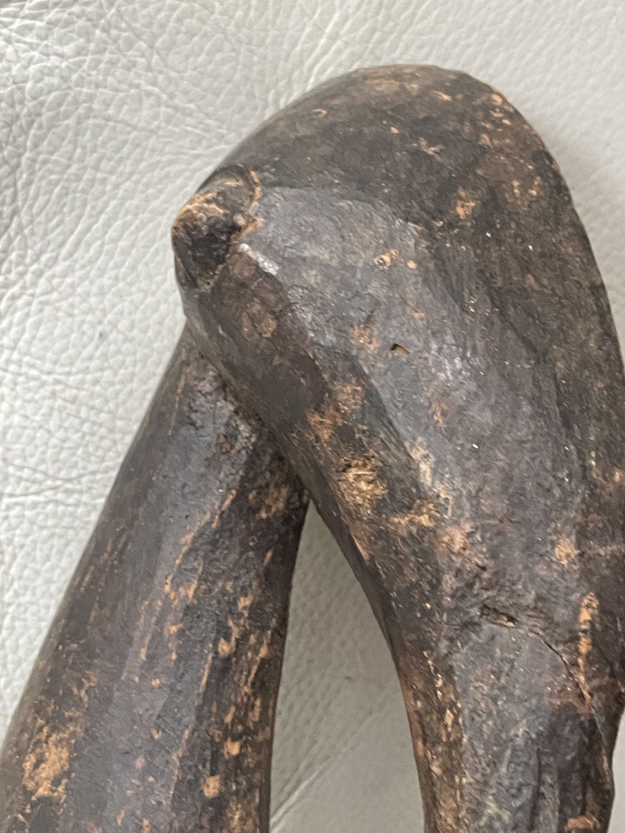 Oiseau calao Senoufo côté d’ivoire -photo-4