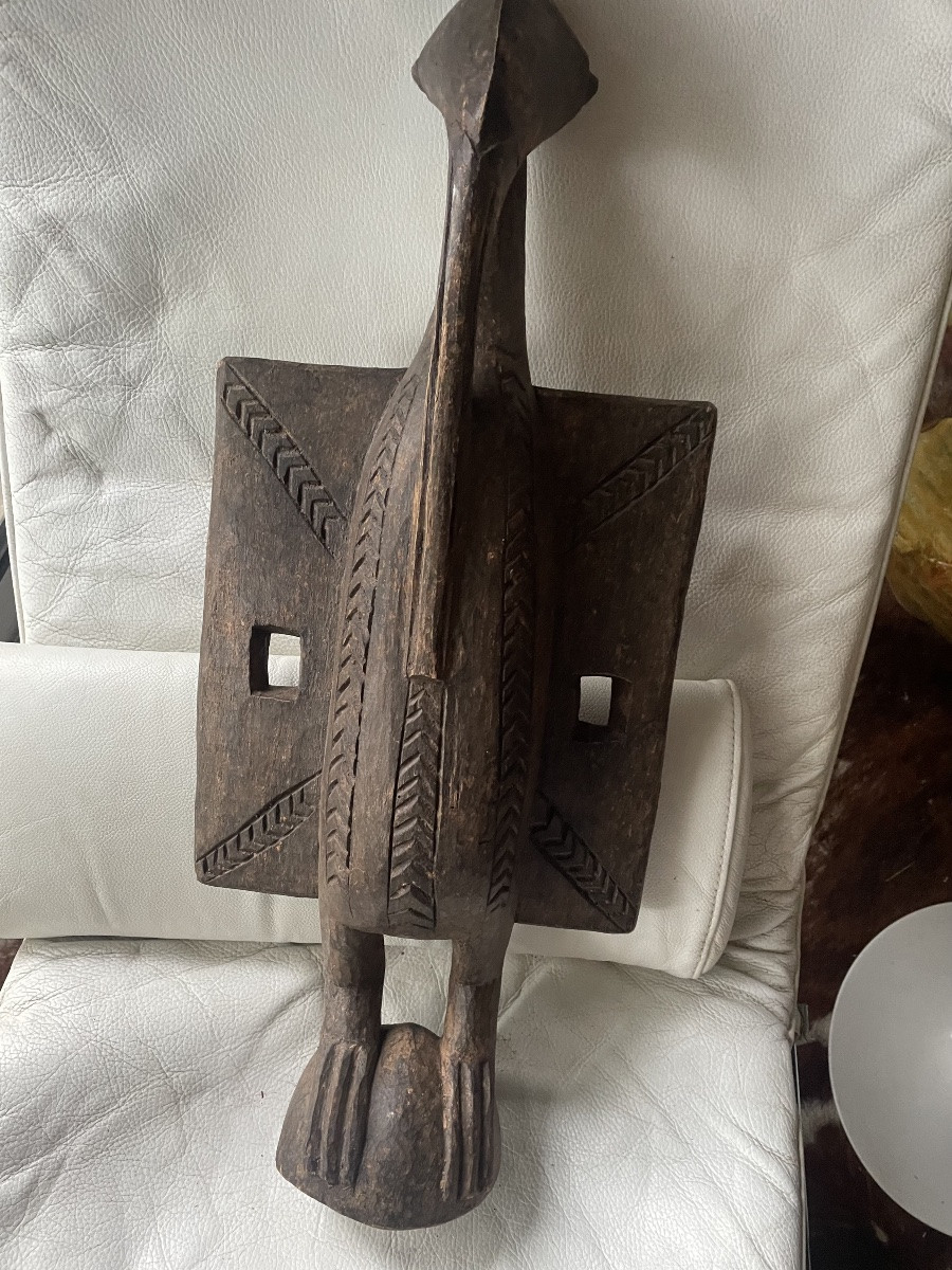 Oiseau calao Senoufo côté d’ivoire -photo-8