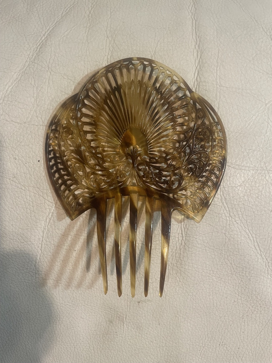 Andalusian Tortoiseshell Hair Clip -photo-2