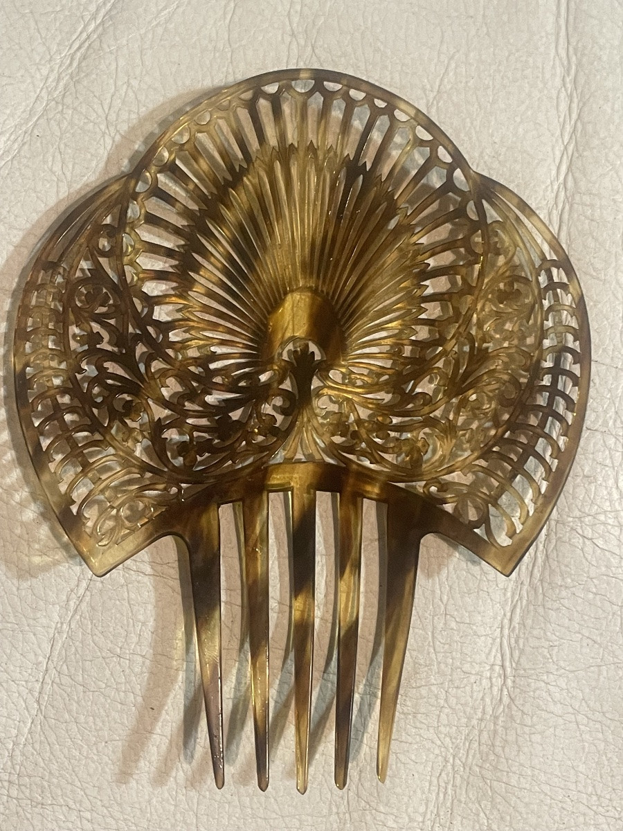 Andalusian Tortoiseshell Hair Clip -photo-3