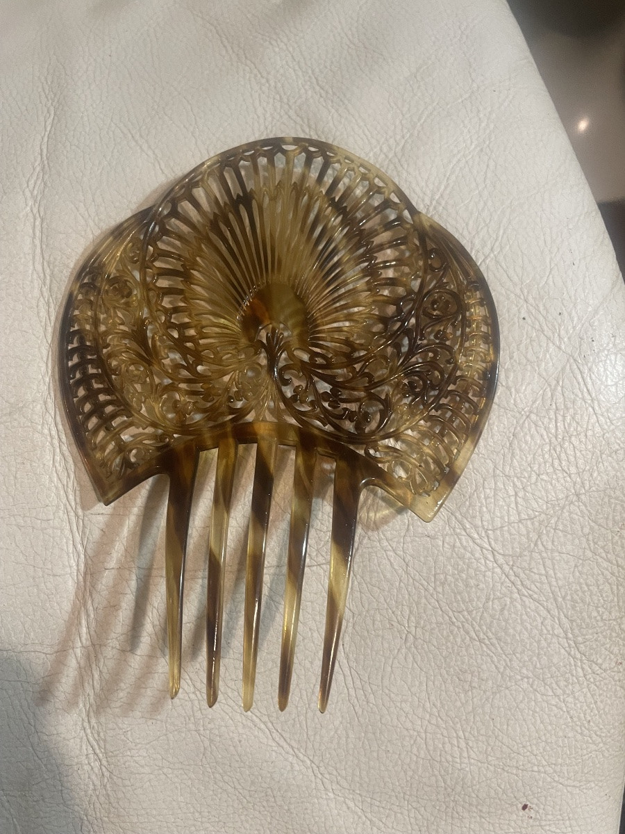 Andalusian Tortoiseshell Hair Clip -photo-4