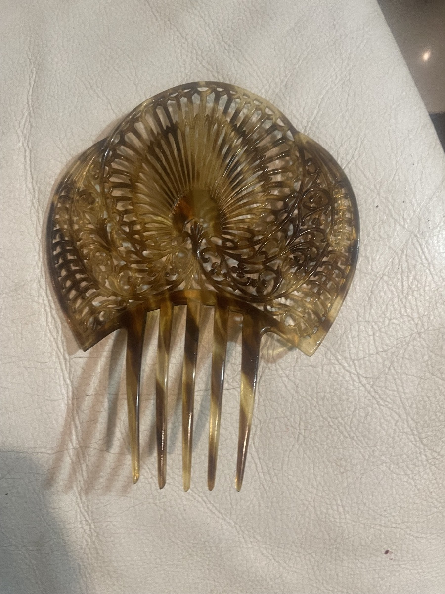 Andalusian Tortoiseshell Hair Clip -photo-1