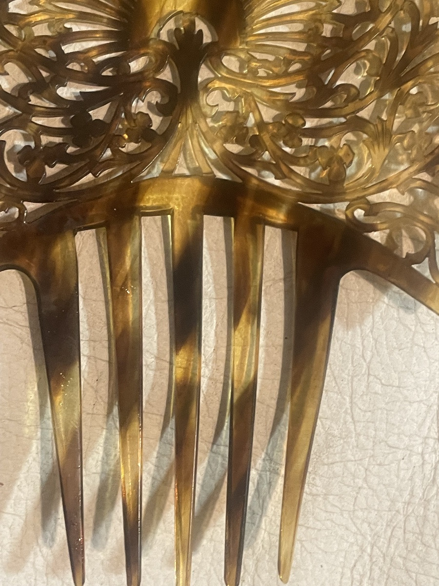 Andalusian Tortoiseshell Hair Clip -photo-3