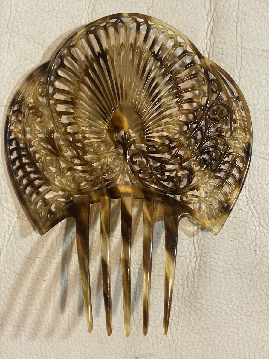 Andalusian Tortoiseshell Hair Clip -photo-4