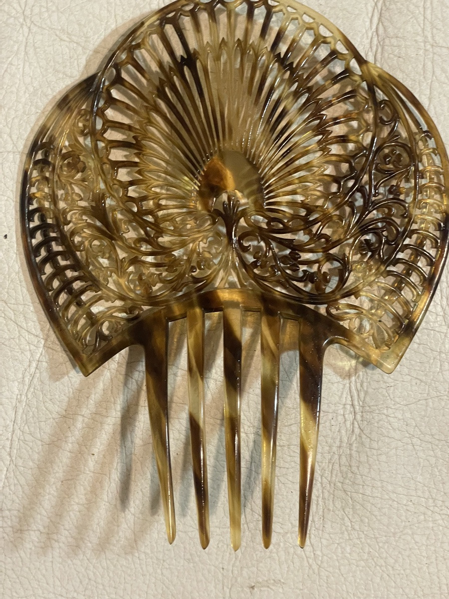 Andalusian Tortoiseshell Hair Clip -photo-5