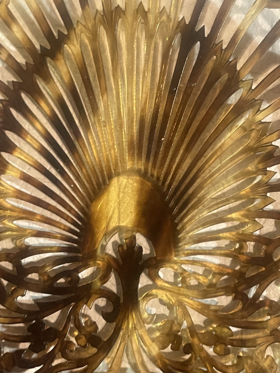 Andalusian Tortoiseshell Hair Clip -photo-6