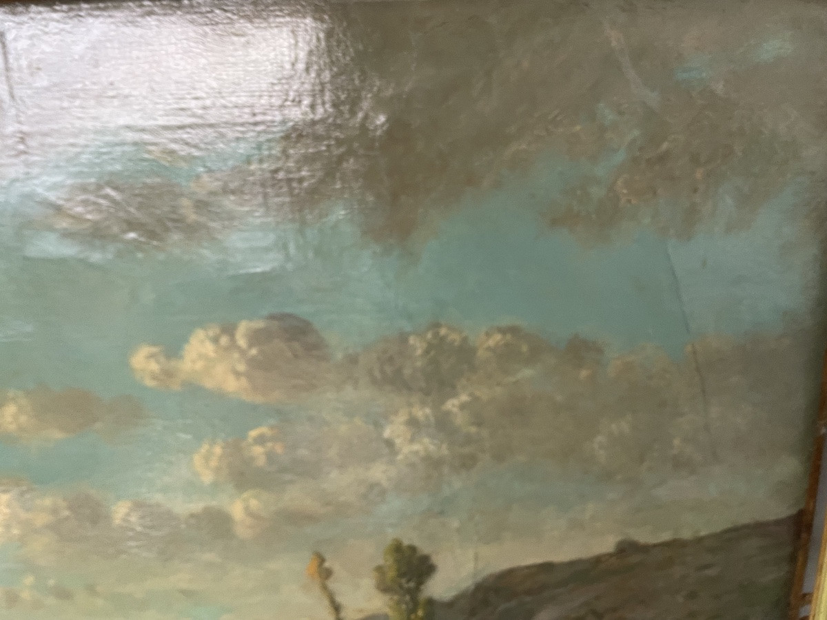 Vaches à l’étang -photo-3