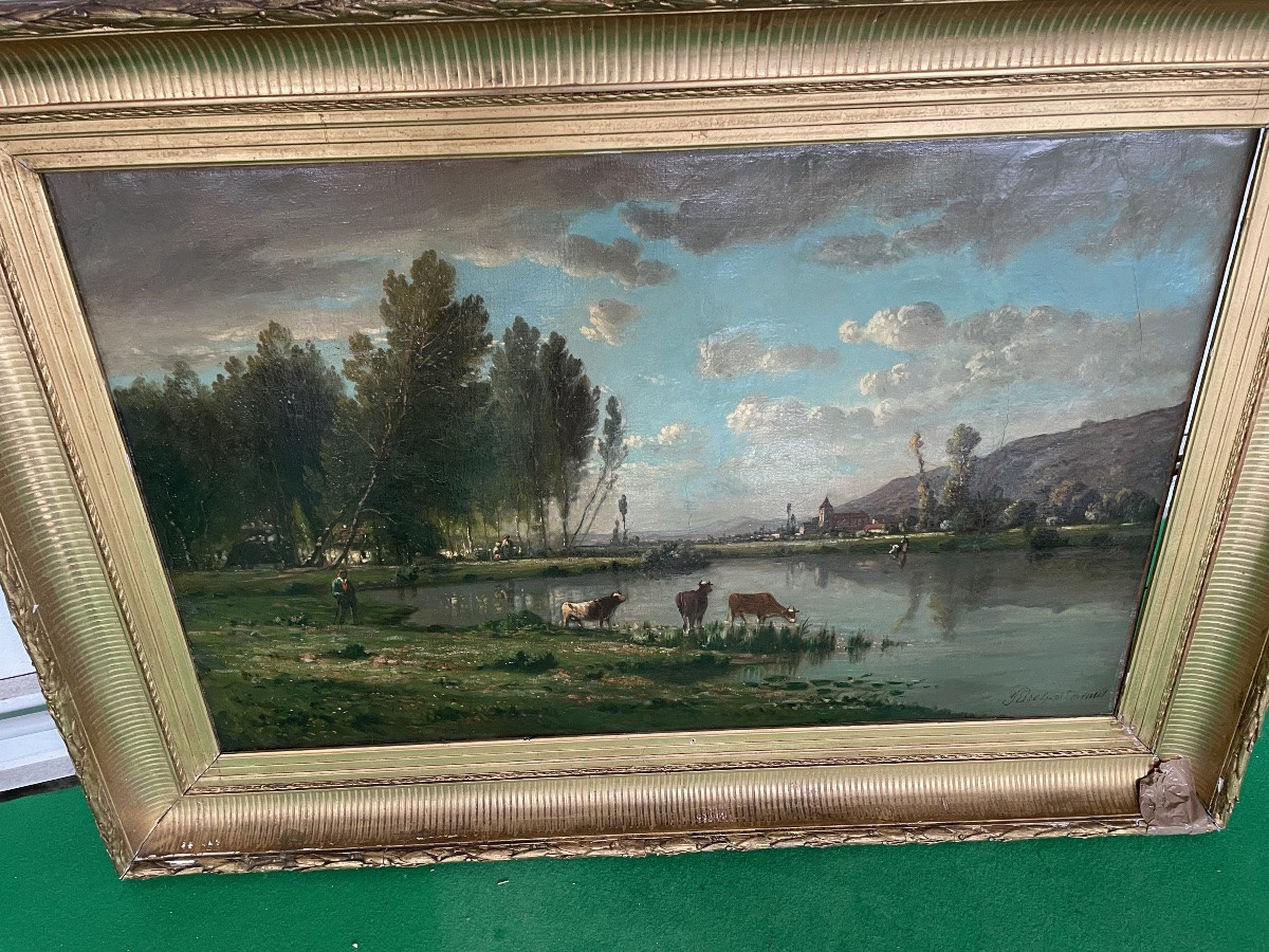 Vaches à l’étang -photo-5