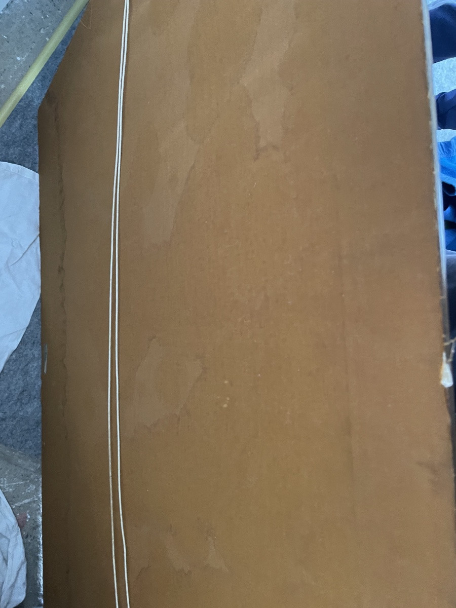 Narjot's Reclining Woman -photo-2