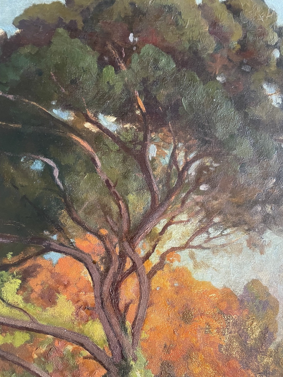 La forêt de Raoul Dosque -photo-4