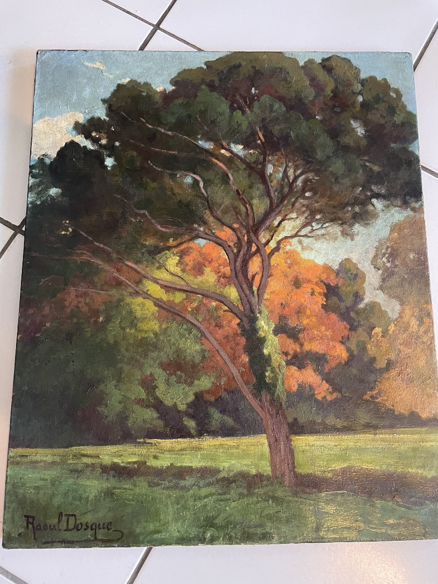 La forêt de Raoul Dosque -photo-2