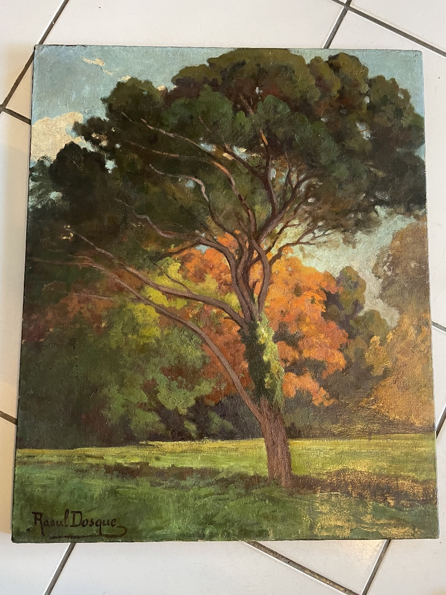 La forêt de Raoul Dosque -photo-5