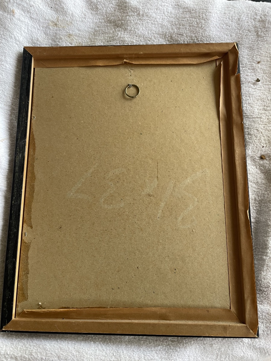 Le petit moineau « Photius «  -photo-1