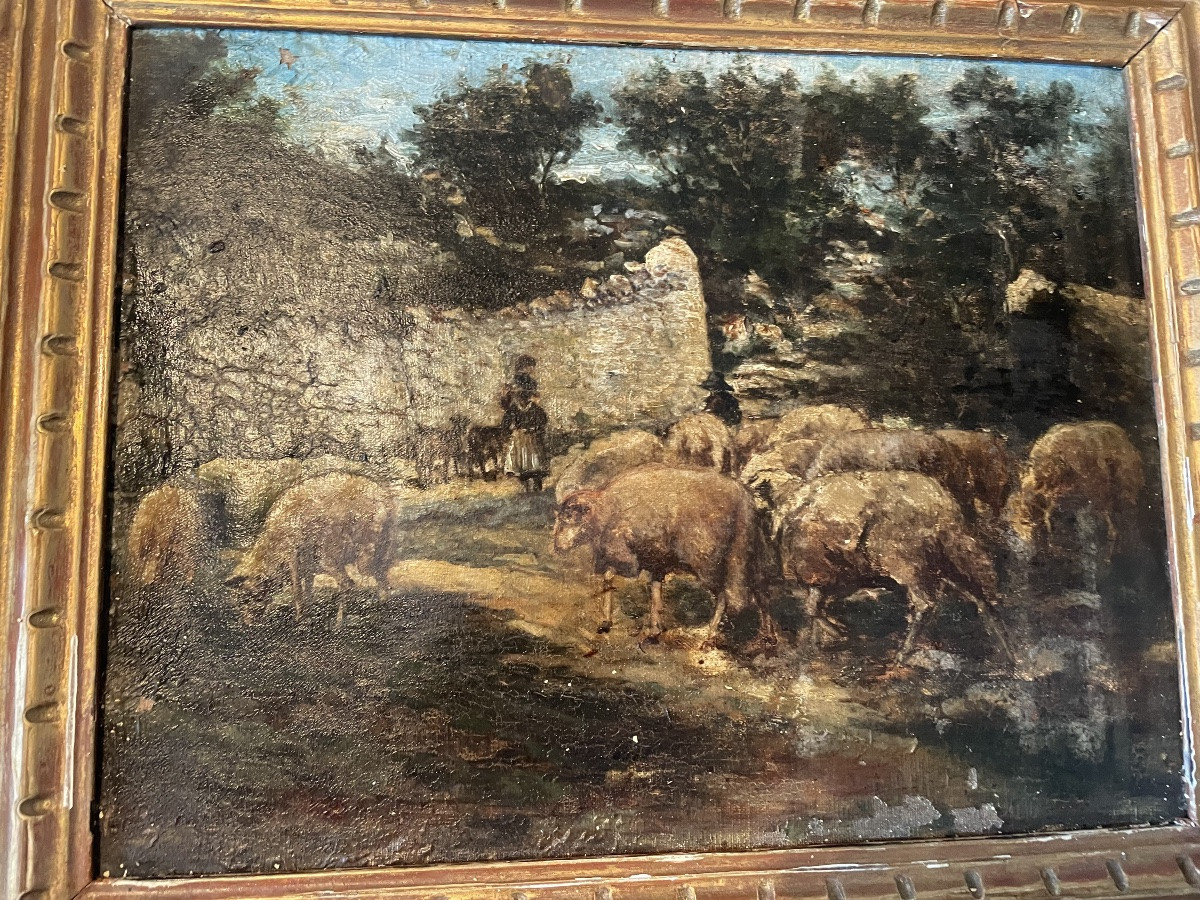 Moutons et bergère -photo-3