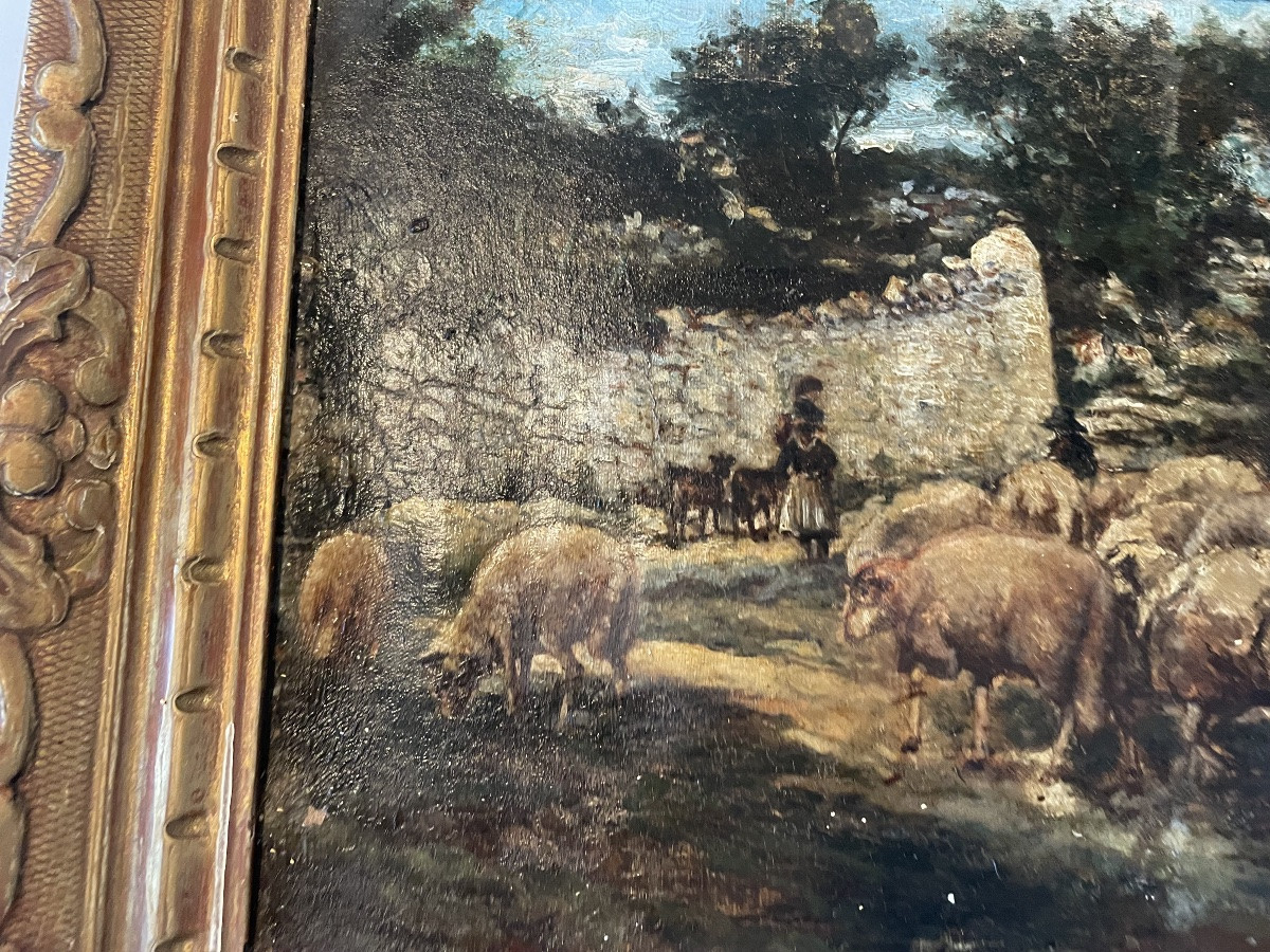 Moutons et bergère -photo-5