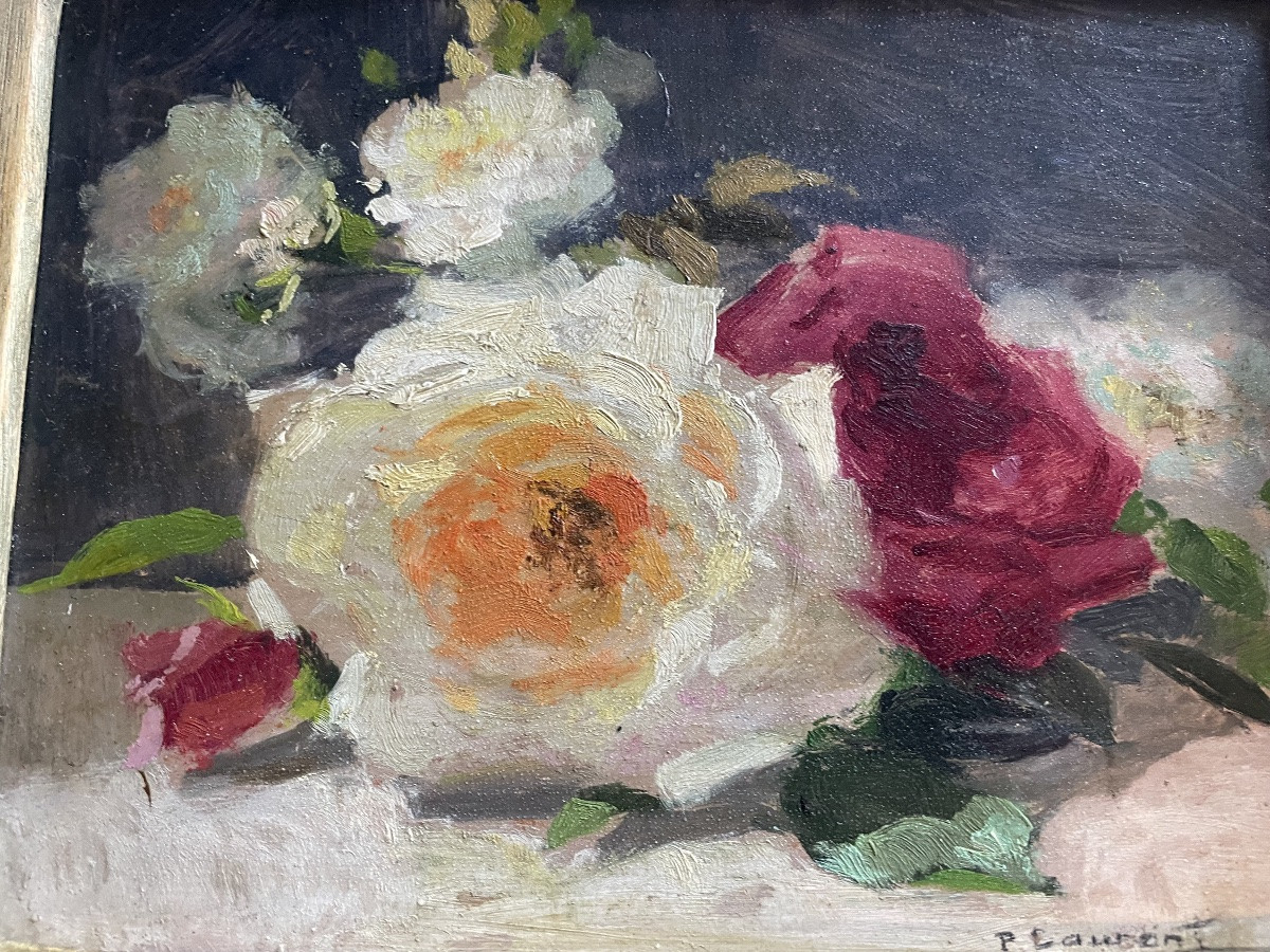 Les roses de P.Laurent -photo-3