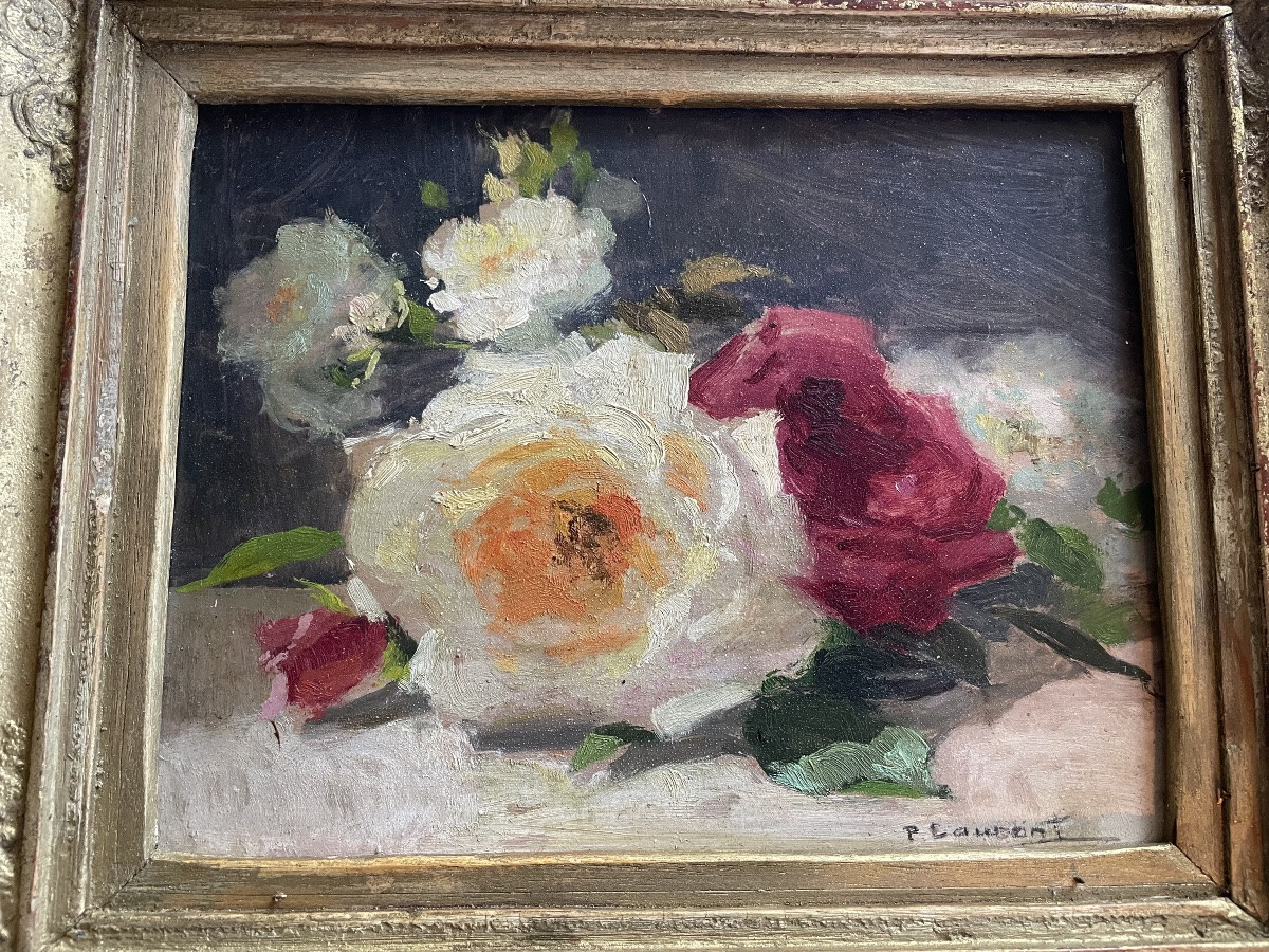 Les roses de P.Laurent -photo-2