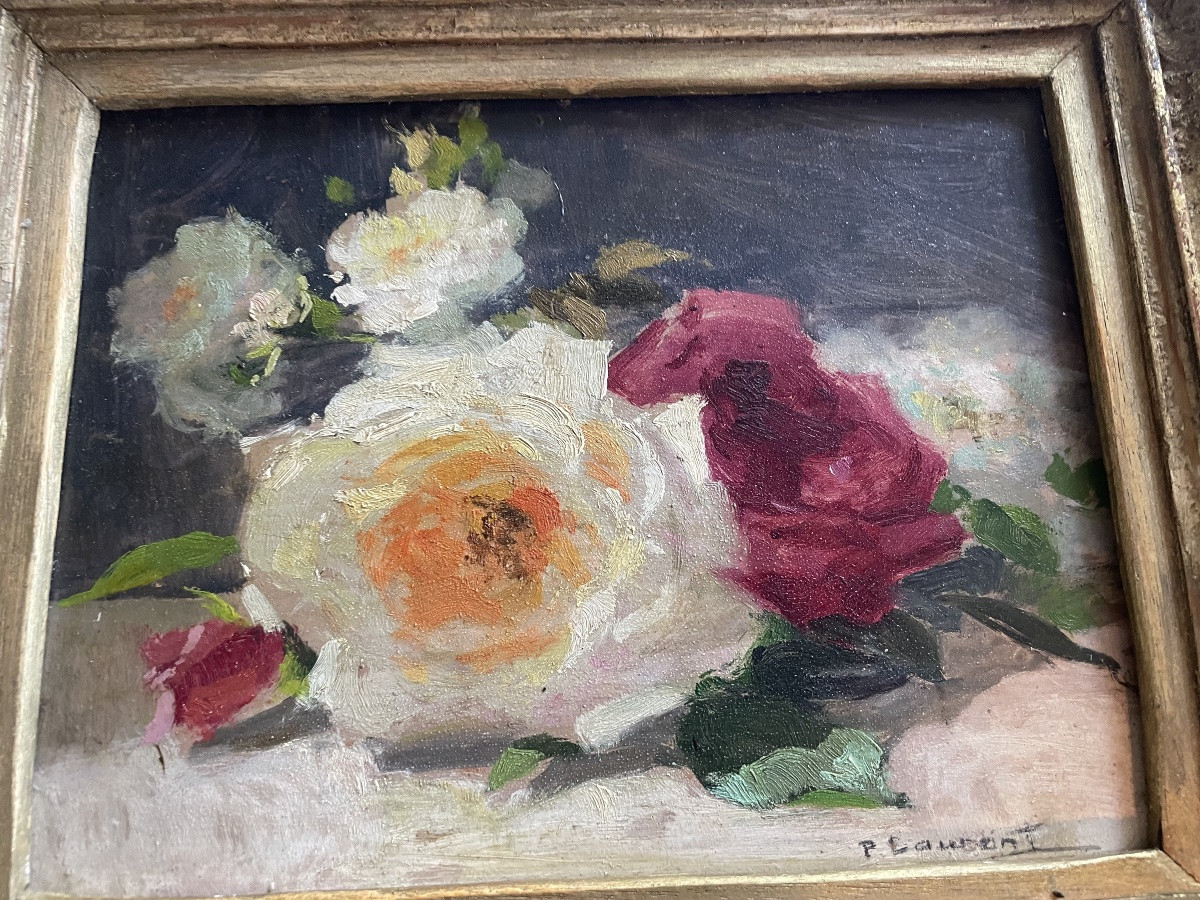Les roses de P.Laurent -photo-7