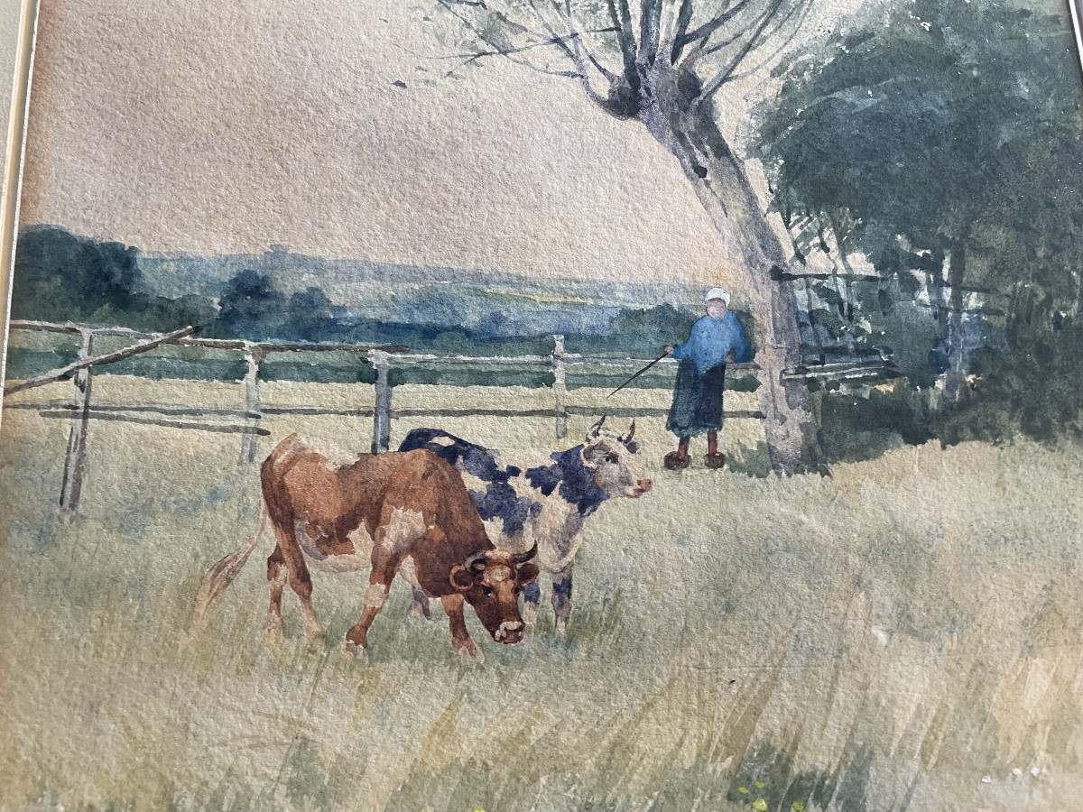 Vaches et fermière -photo-5