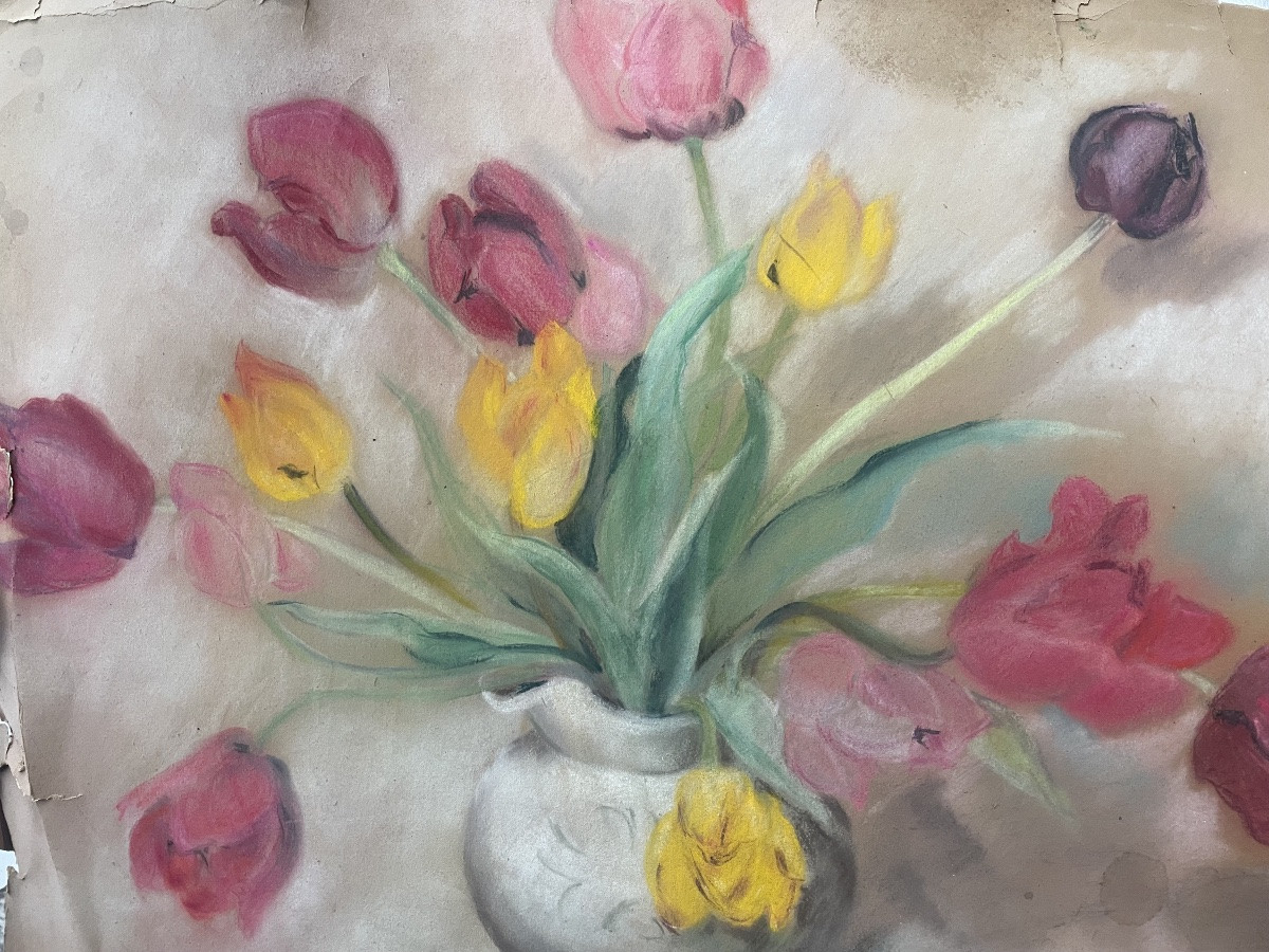 Les tulipes -photo-4