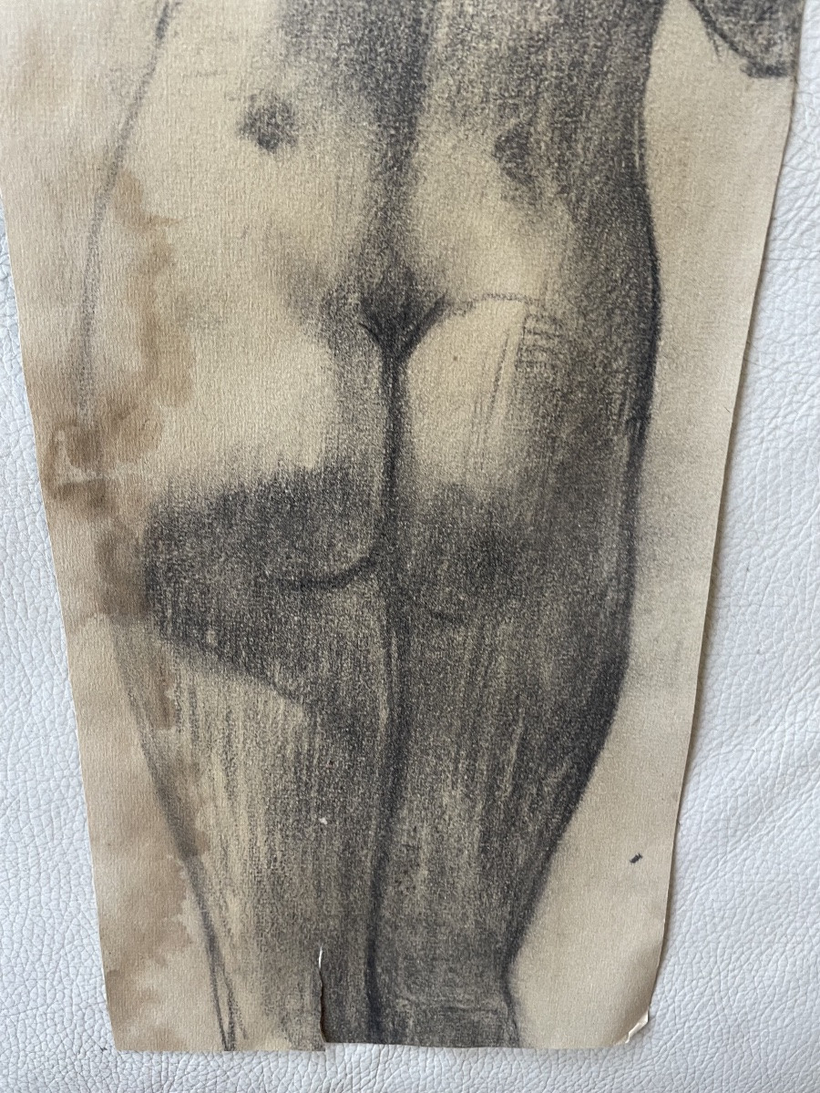 Dessin nue de dos -photo-3