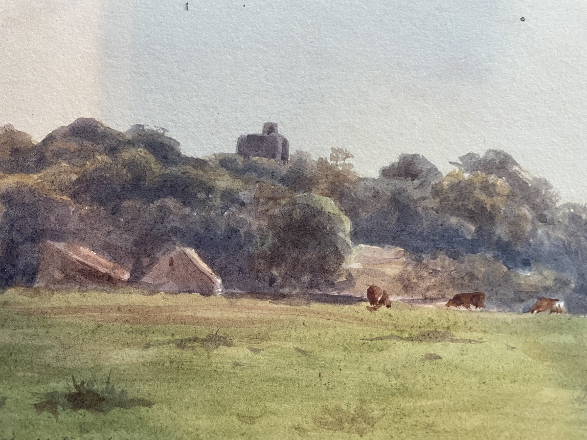 Les vaches au pâturage -photo-3