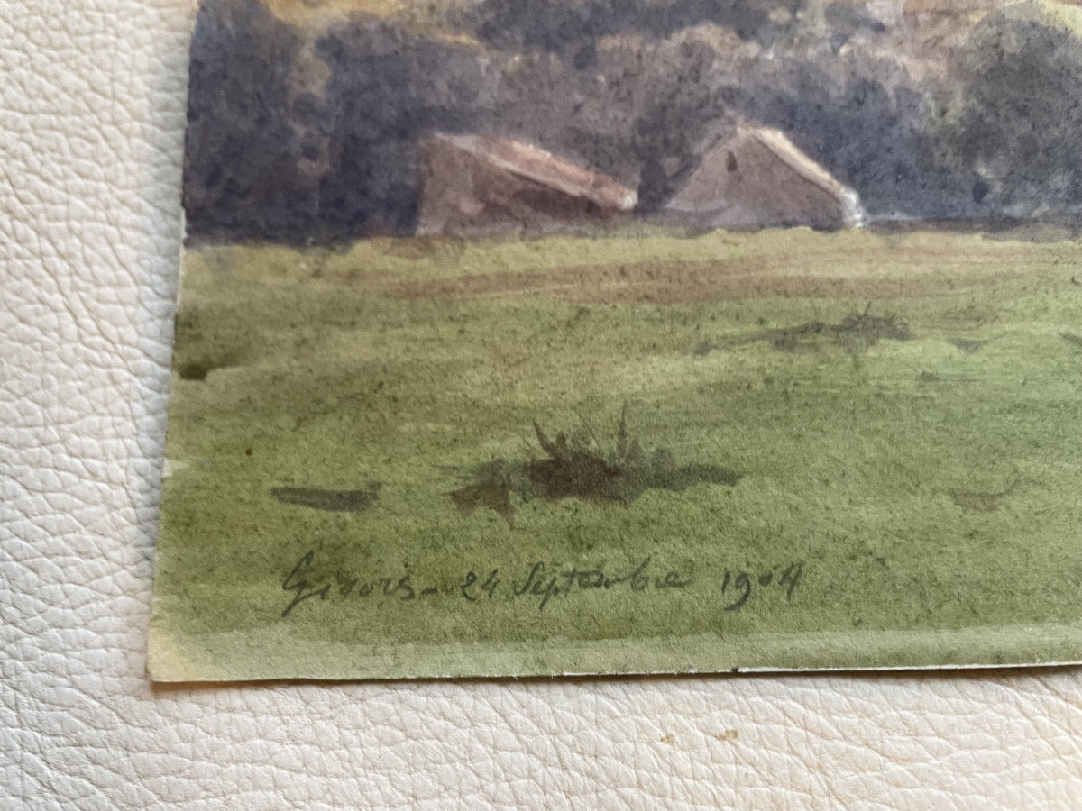 Les vaches au pâturage -photo-1