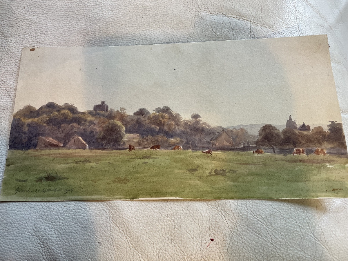 Les vaches au pâturage -photo-2