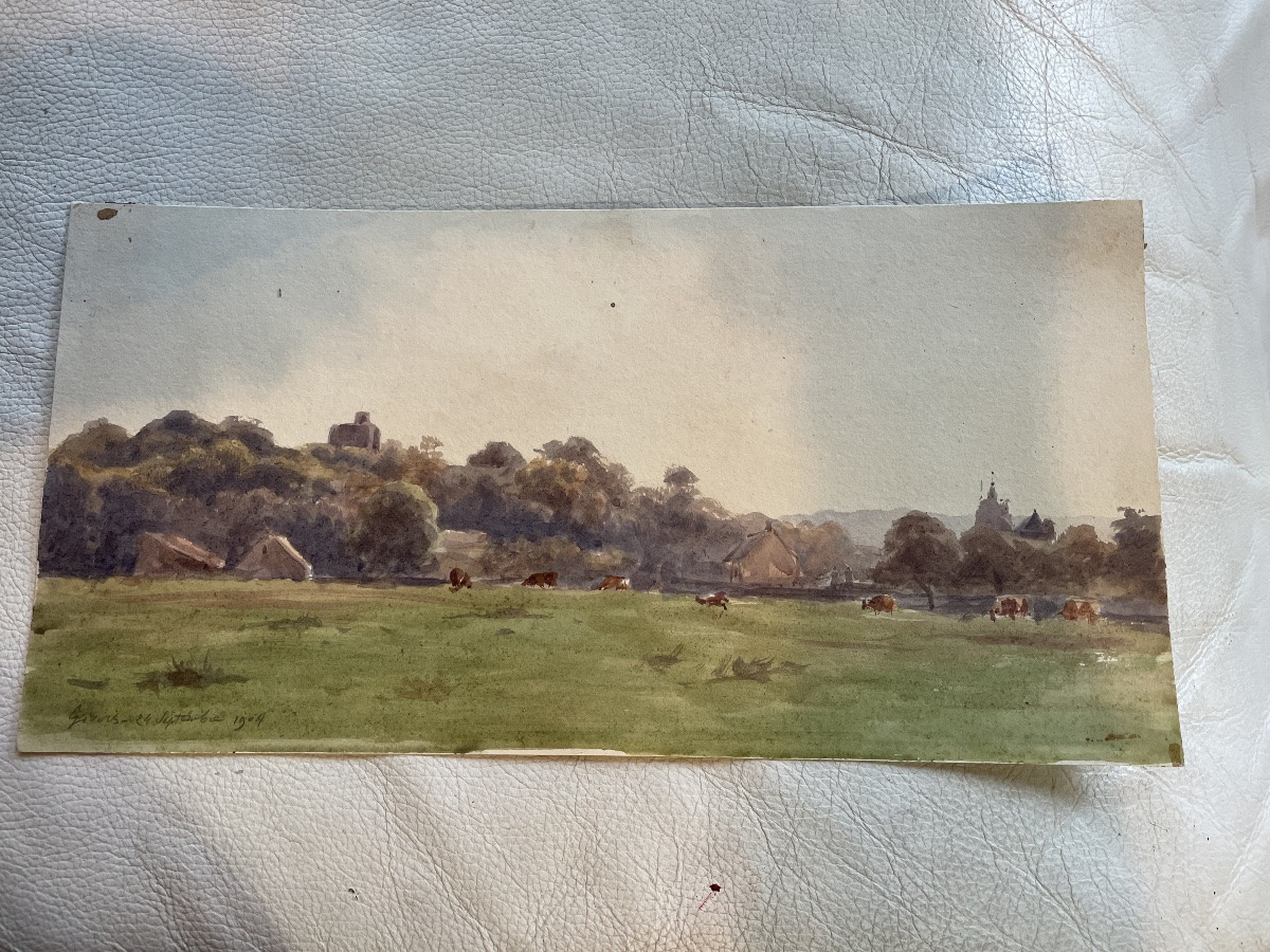 Les vaches au pâturage -photo-6