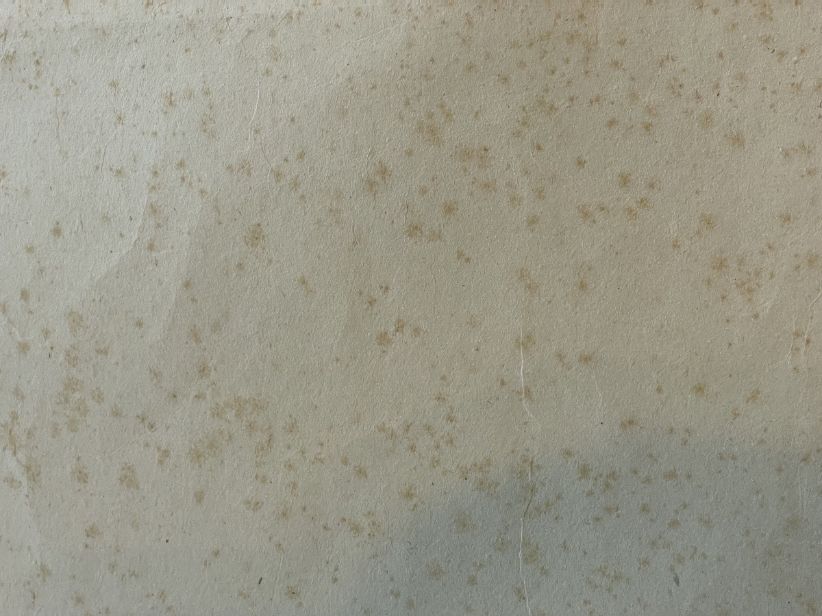 Tableau Encre asiatique -photo-6