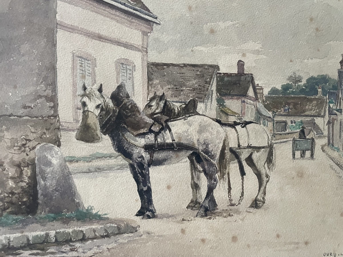 Les chevaux de trait -photo-2