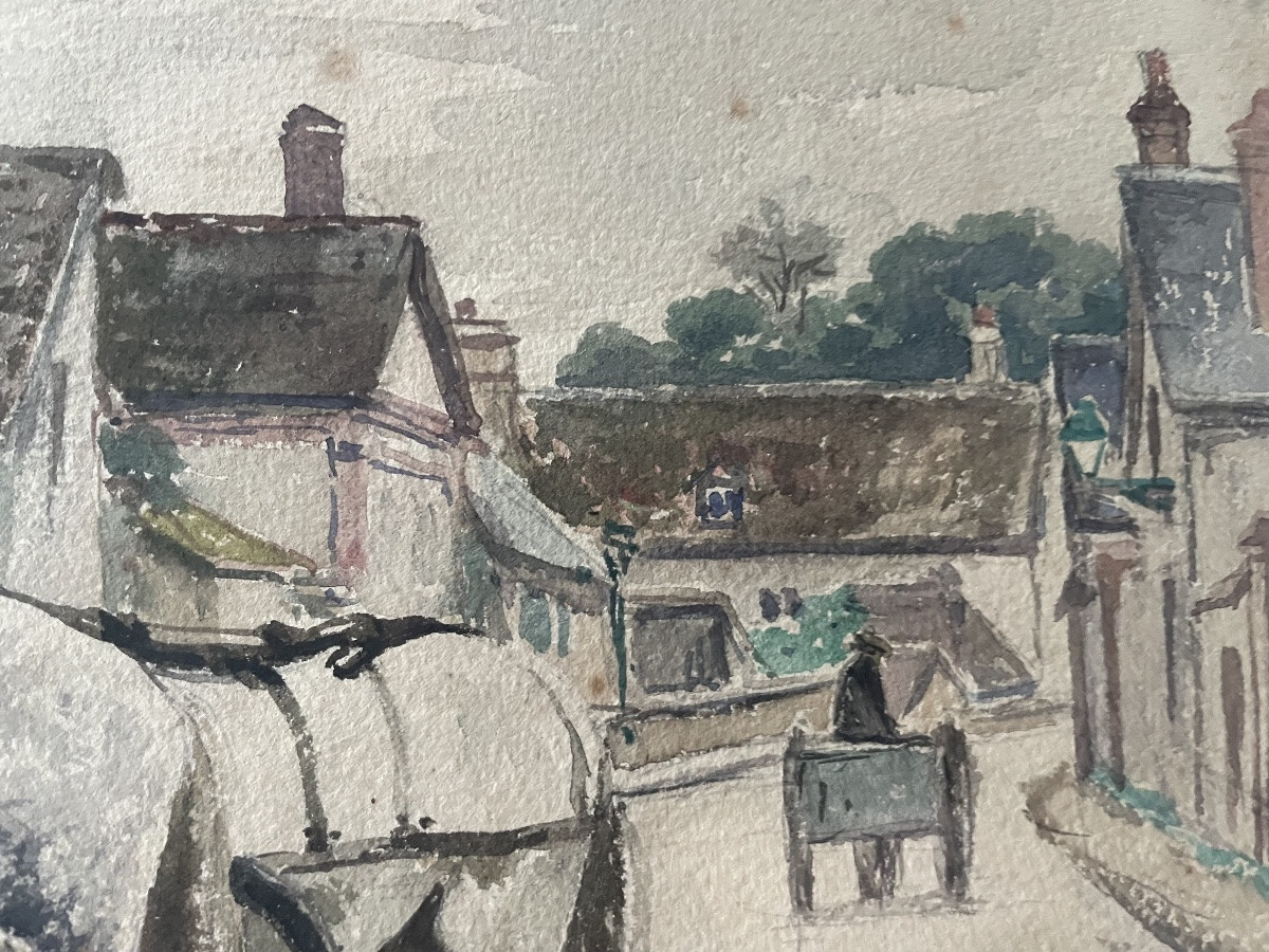 Les chevaux de trait -photo-4