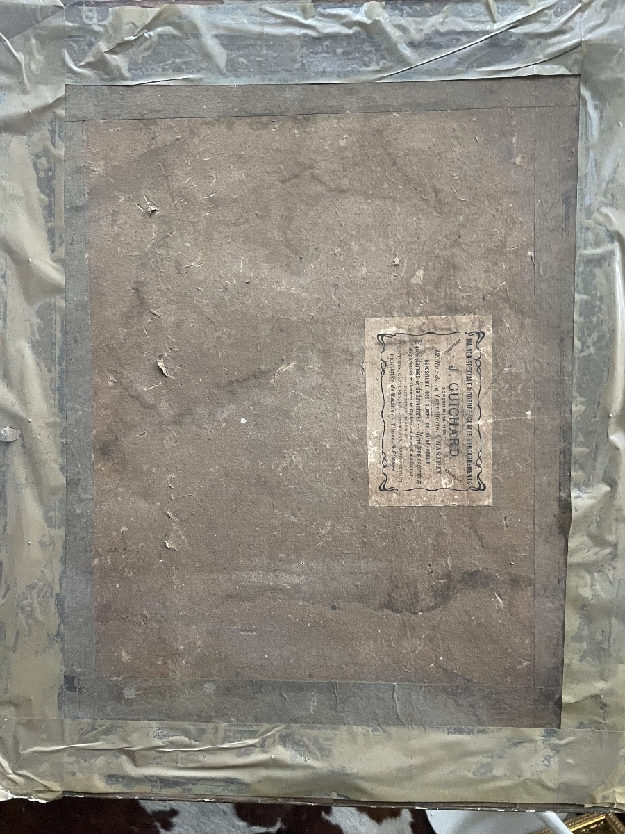 Les chevaux de trait -photo-6