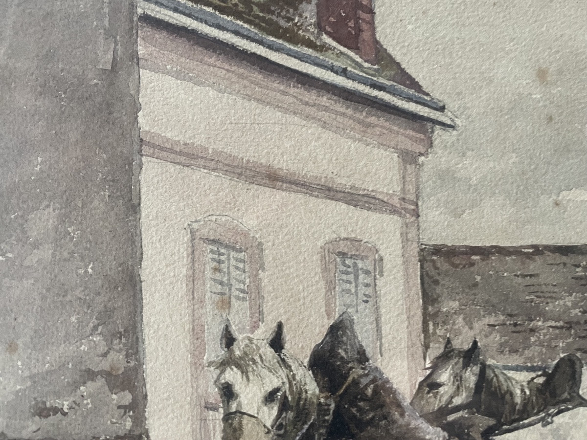 Les chevaux de trait -photo-7