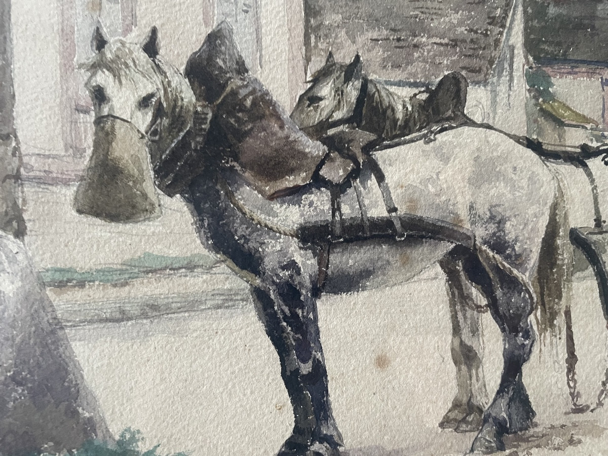 Les chevaux de trait 