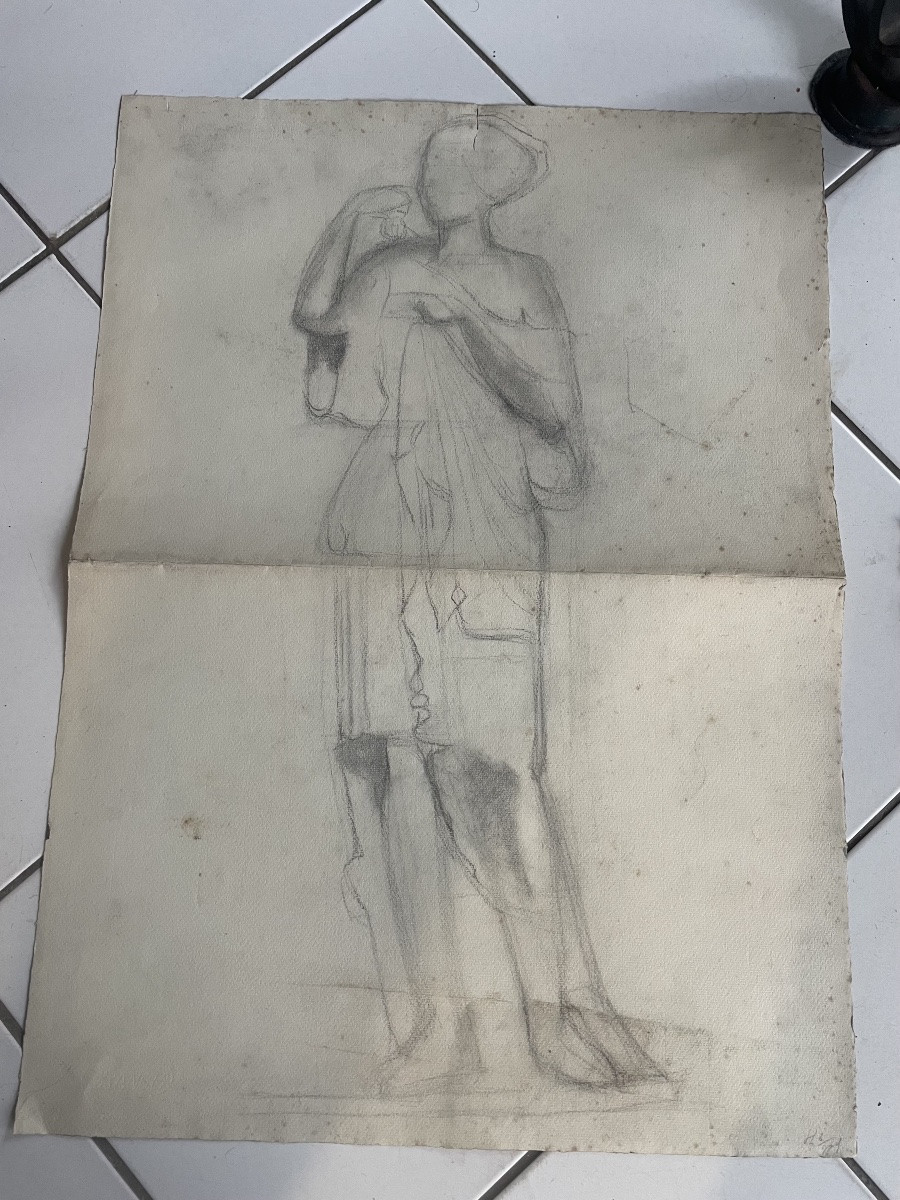 Azalée et Les plantes grasses -photo-4