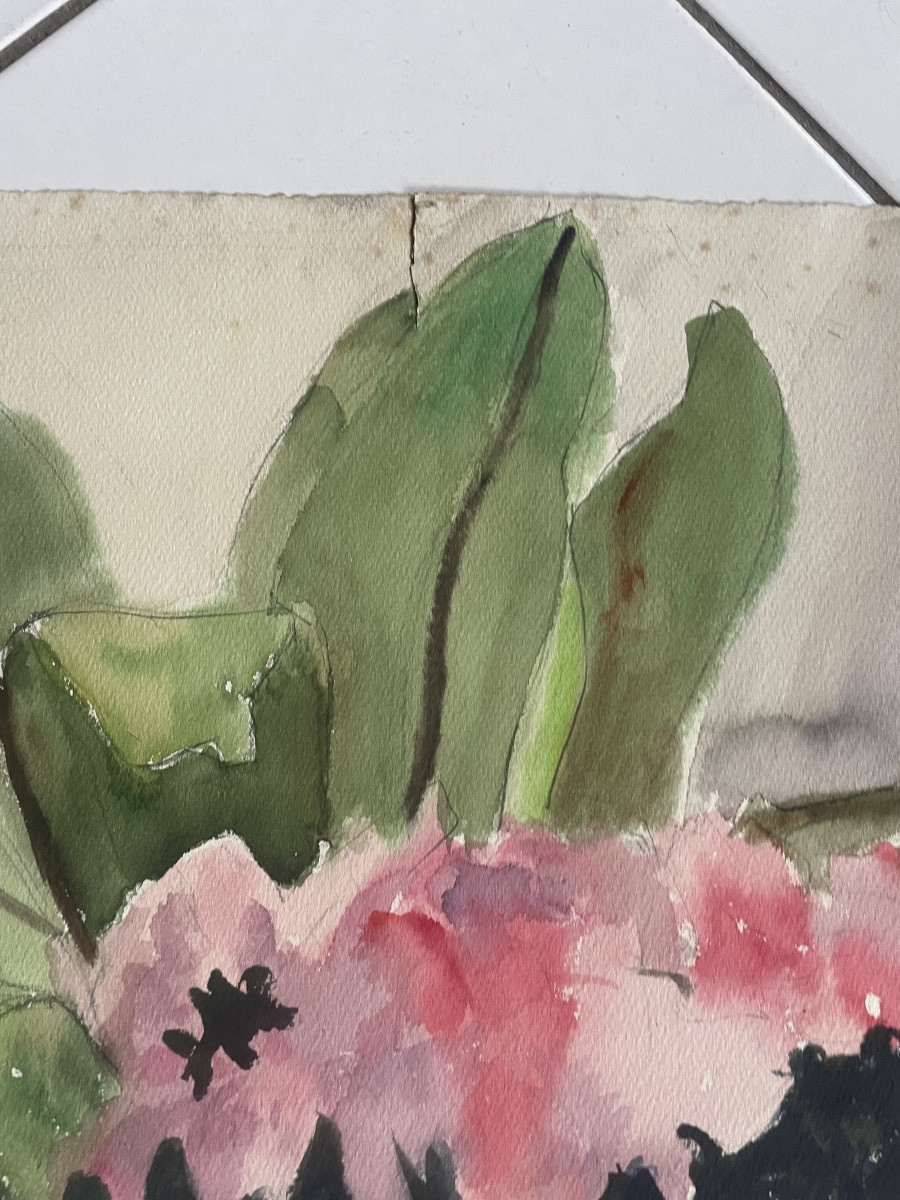 Azalée et Les plantes grasses -photo-4