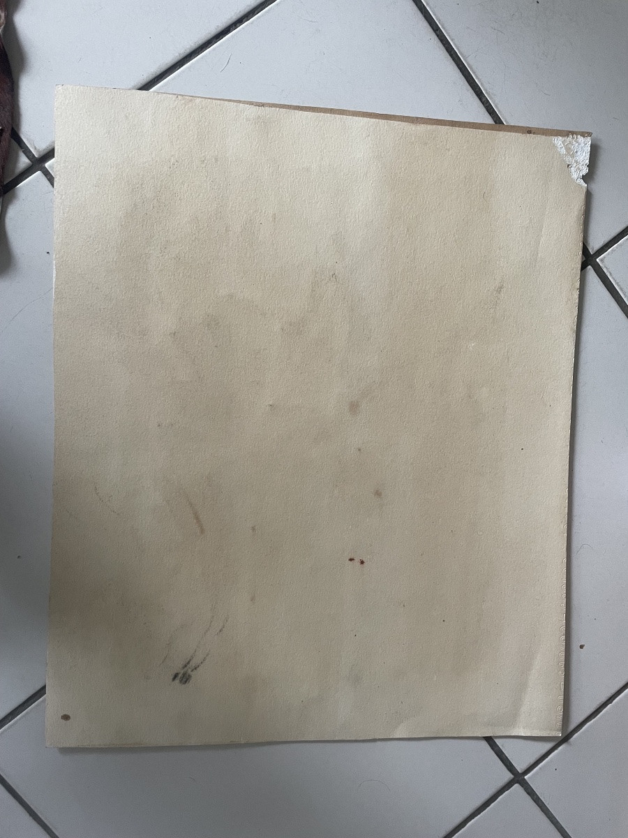 Le jockey et son cheval de course -photo-4