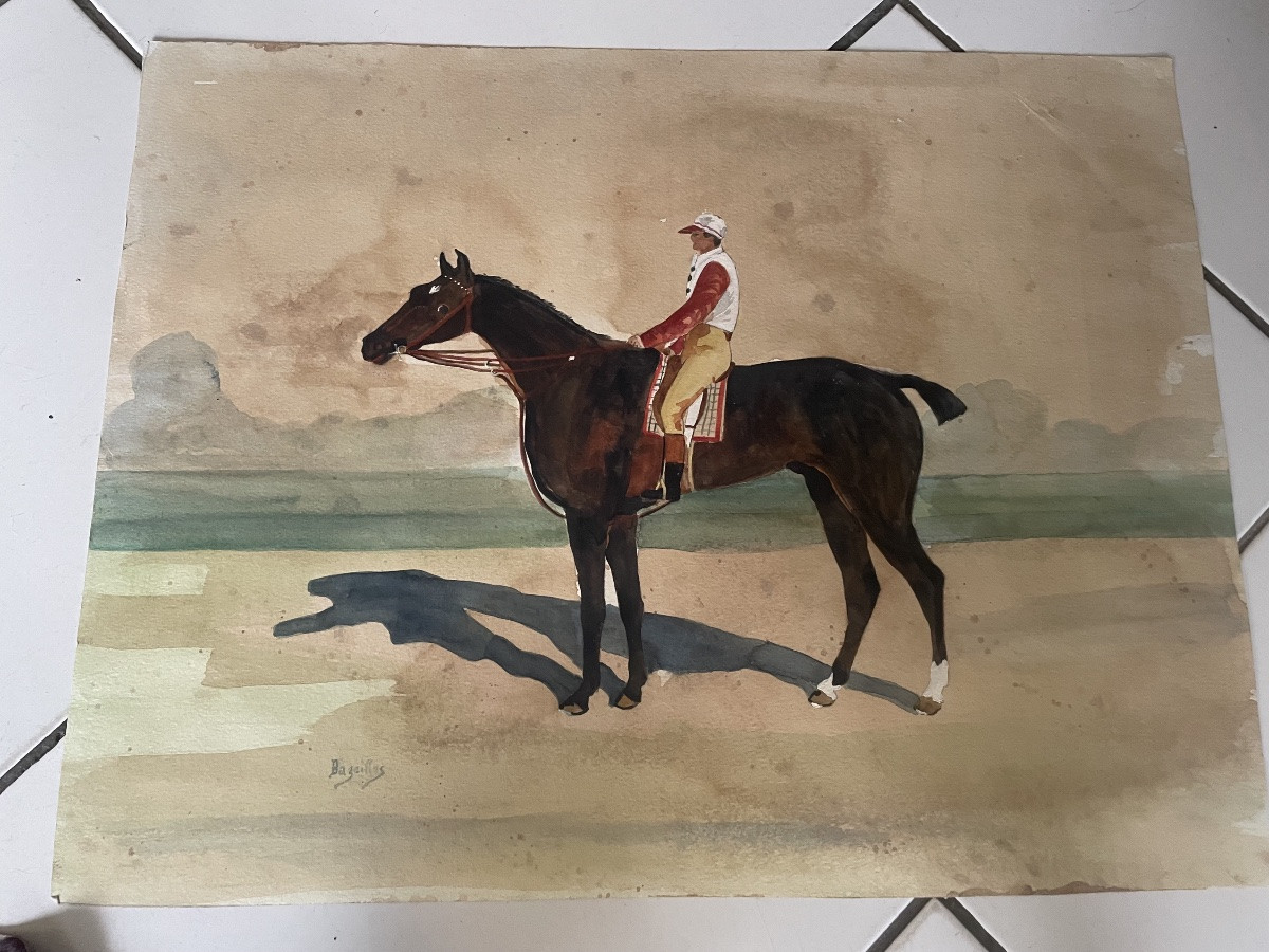 Racehorse And Its Jockey -photo-3