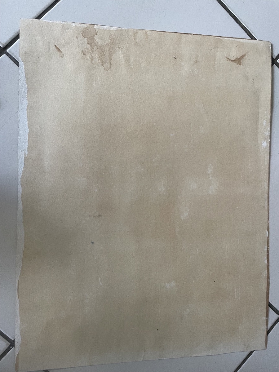 Racehorse And Its Jockey -photo-5