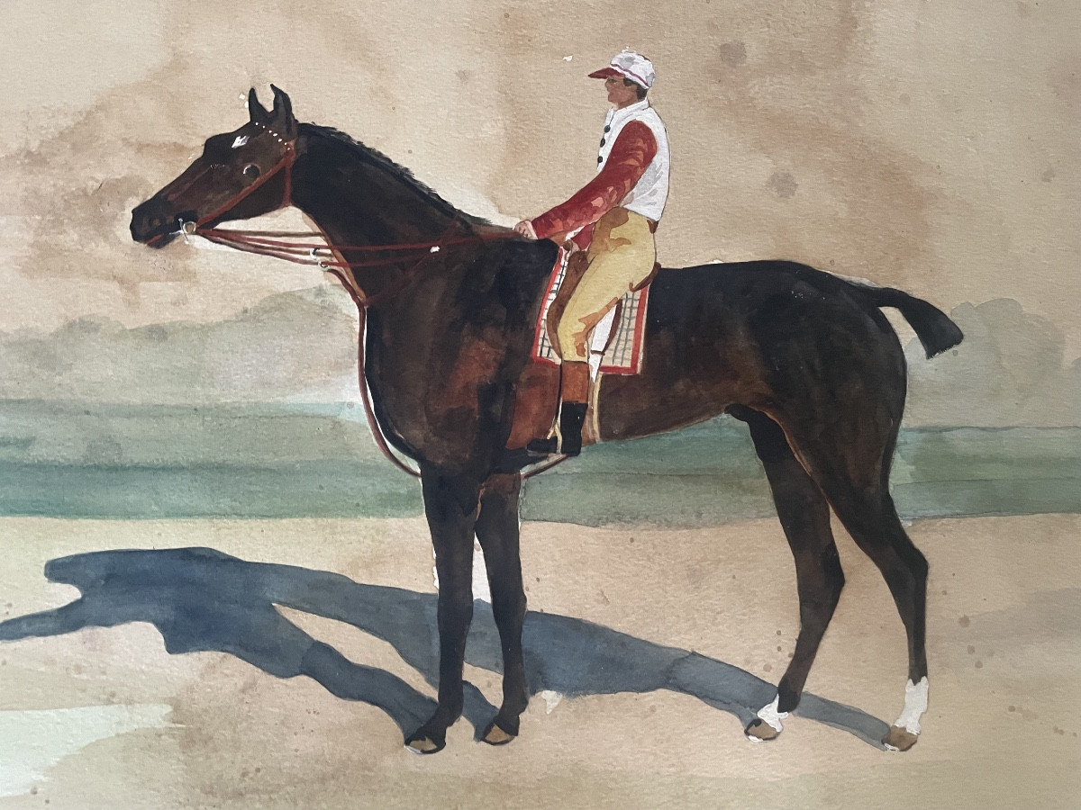Racehorse And Its Jockey 